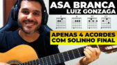 Como Tocar Asa Branca de Luiz Gonzaga com o Solinho Final no Violão s