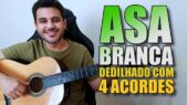 Como tocar ASA BRANCA com dedilhado e com apenas 4 ACORDES